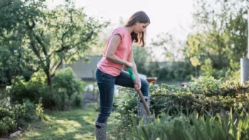 5 Easy Home Gardening And Landscape Ideas