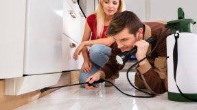 6 Pest Control Tips For Your Home Or Apartment