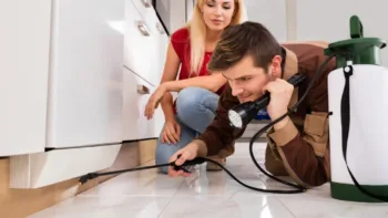 6 Pest Control Tips For Your Home Or Apartment